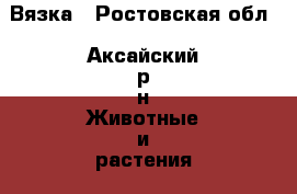 Вязка - Ростовская обл., Аксайский р-н Животные и растения » Собаки   